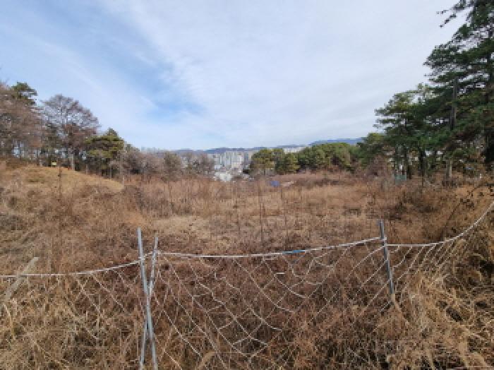 대전광역시 중구 석교동 248-43 임야 경매 사진 15