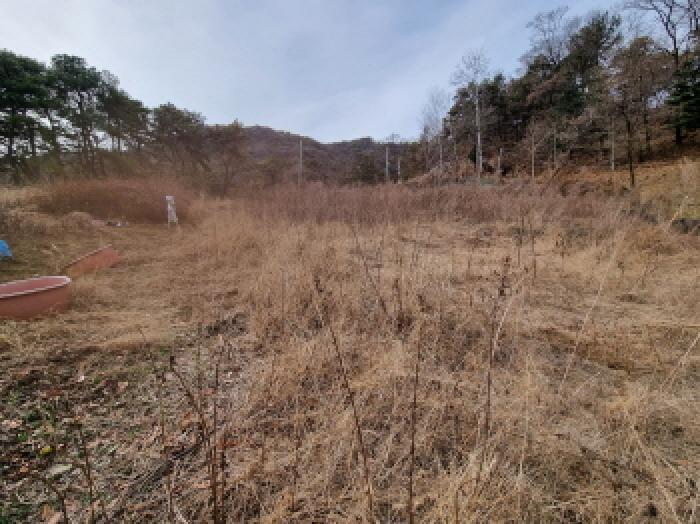대전광역시 중구 석교동 248-43 임야 경매 사진 19