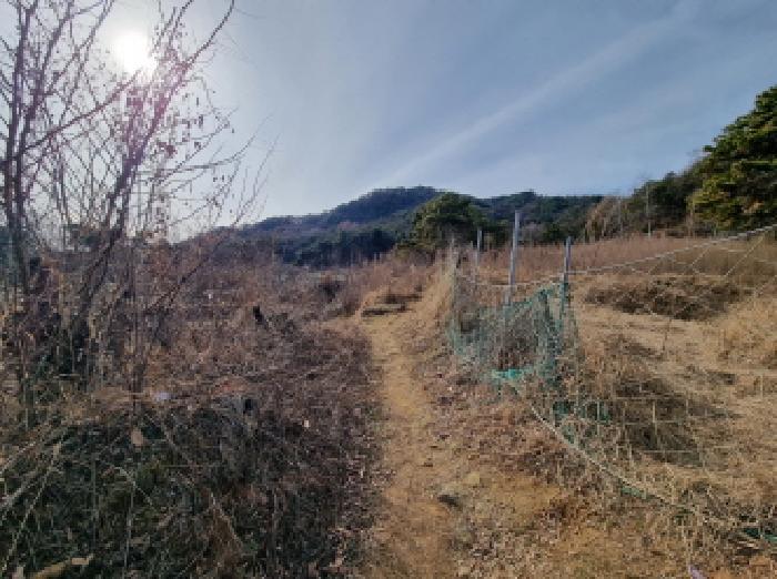 대전광역시 중구 석교동 248-43 임야 경매 사진 5