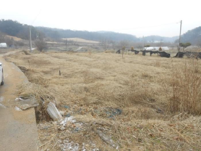 세종특별자치시 연기면 수산리 306-1 전 경매 사진 6