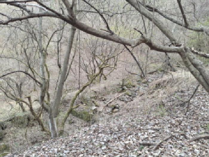 대전광역시 중구 금동 255 전 경매 사진 12