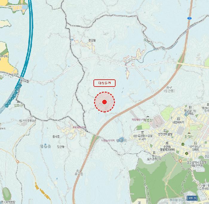 울산광역시 중구 성안동 산339-10 임야 경매 사진 9