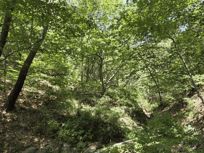 울산 울주군 임야