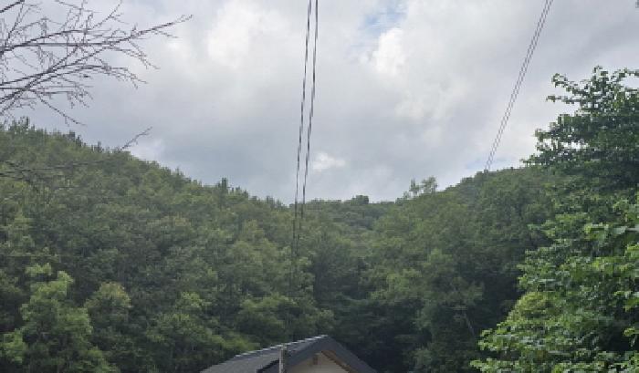 울산광역시 울주군 언양읍 반송리 산128-6 임야 경매 사진 3