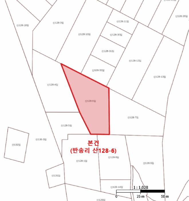 울산광역시 울주군 언양읍 반송리 산128-6 임야 경매 사진 8