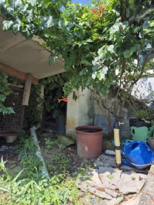 전라남도 곡성군 곡성읍 읍내리 437 대지 경매 사진 6