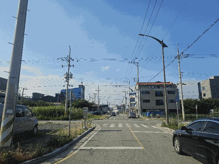 경상남도 김해시 진영읍 진영리 1720-6 대지 경매 사진 2