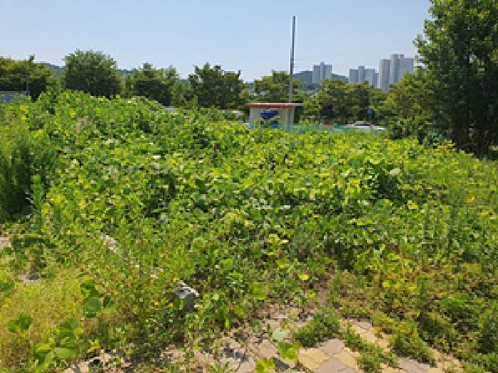 경상남도 김해시 진영읍 진영리 1720-6 대지 경매 사진 3