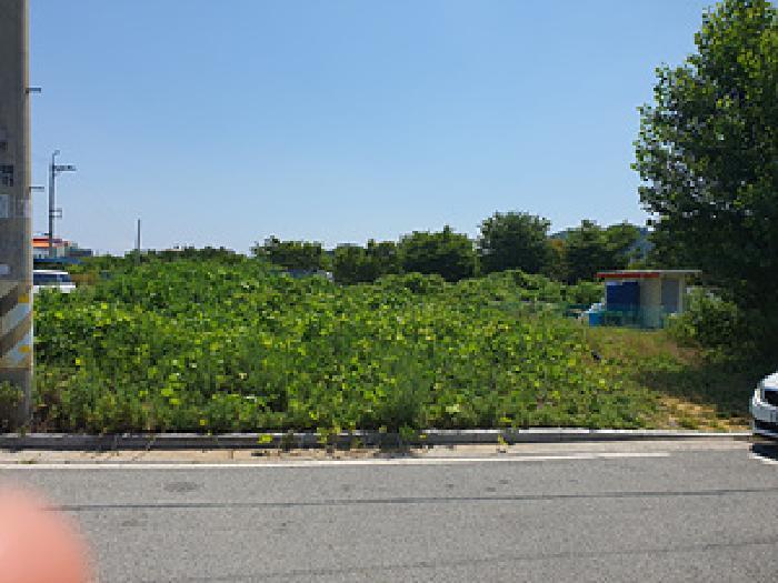 경상남도 김해시 진영읍 진영리 1720-6 대지 경매 사진 4