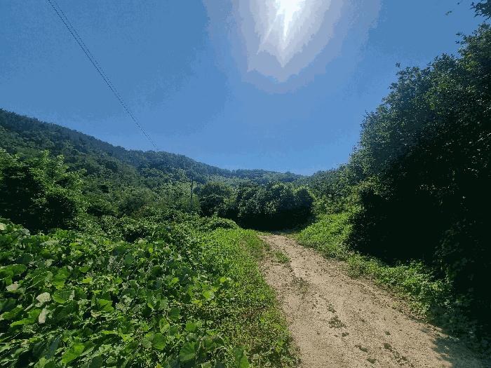 경상남도 김해시 임야