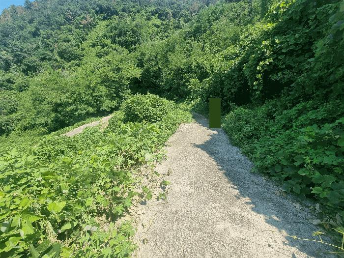 경상남도 김해시 진영읍 진영리 산58 임야 경매 사진 6
