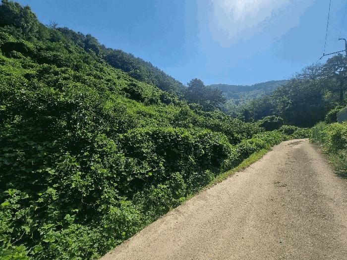 경상남도 김해시 진영읍 진영리 산58 임야 경매 사진 8
