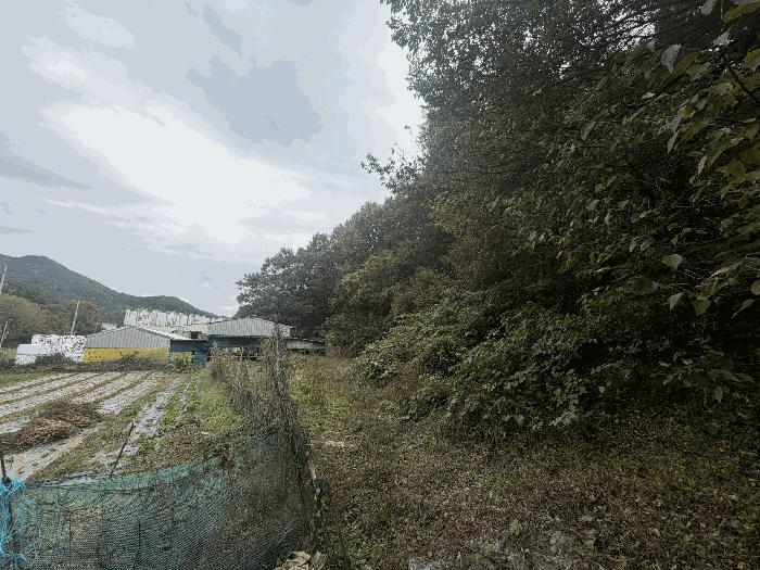 경상남도 창원시 마산합포구 임야