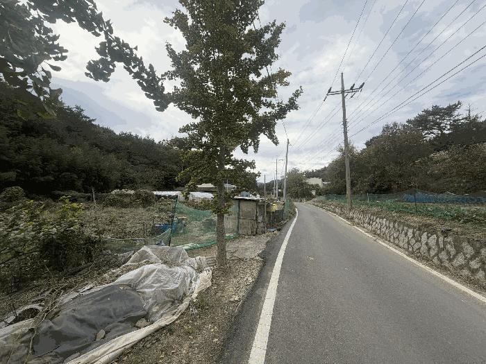 경상남도 창원시 마산합포구 진북면 덕곡리 산109 임야 경매 사진 2