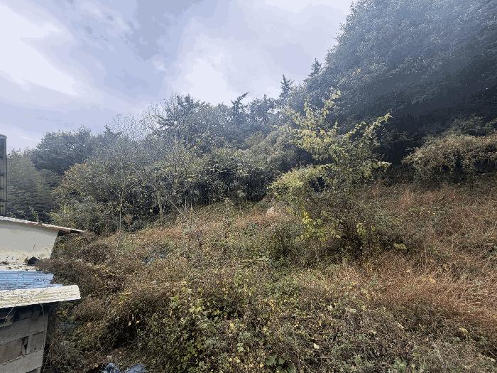 경상남도 창원시 마산합포구 진북면 덕곡리 산109 임야 경매 사진 3