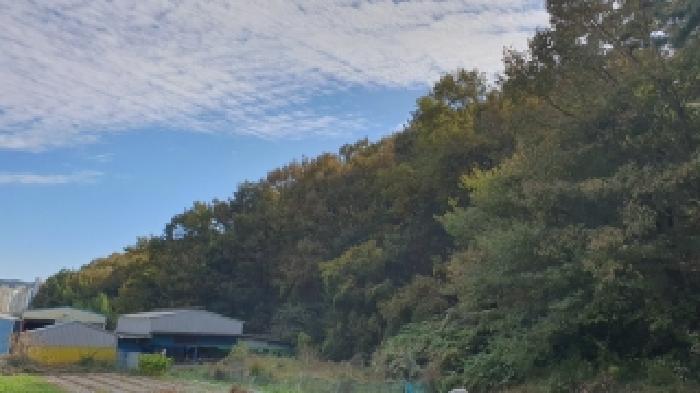 경상남도 창원시 마산합포구 진북면 덕곡리 산109 임야 경매 사진 4