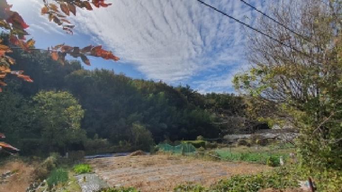 경상남도 창원시 마산합포구 진북면 덕곡리 산109 임야 경매 사진 5