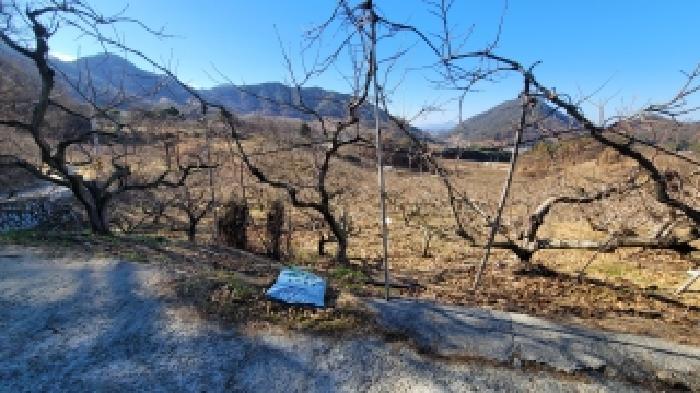 경상남도 함안군 칠북면 봉촌리 780 전 경매 사진 11