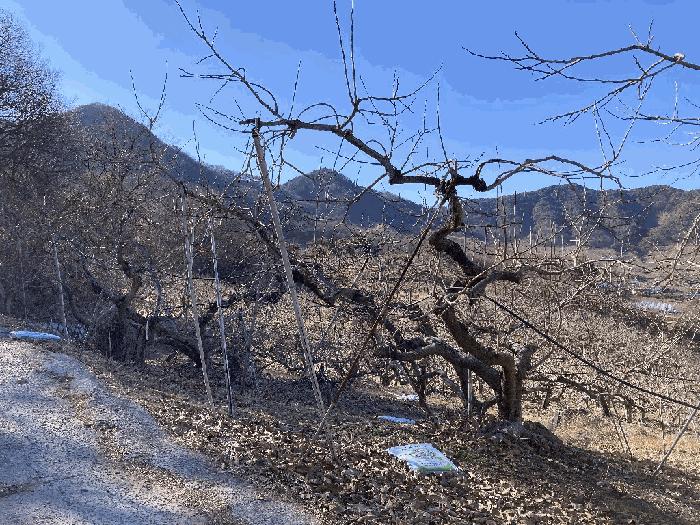 경상남도 함안군 칠북면 봉촌리 780 전 경매 사진 5