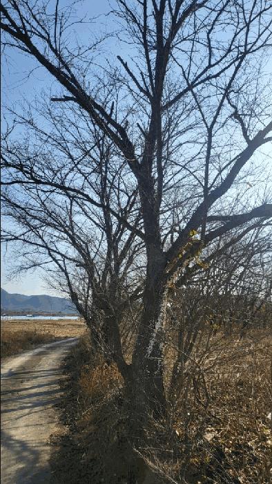경상남도 함안군 가야읍 도항리 237-8 전 경매 사진 10