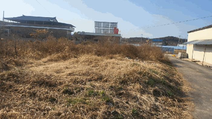 경상남도 함안군 가야읍 도항리 237-8 전 경매 사진 3