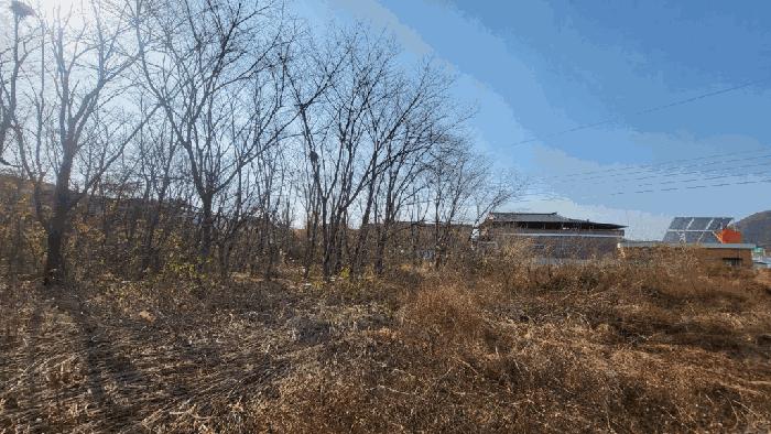경상남도 함안군 가야읍 도항리 237-8 전 경매 사진 5