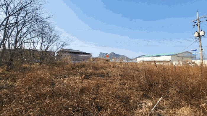 경상남도 함안군 가야읍 도항리 237-8 전 경매 사진 6