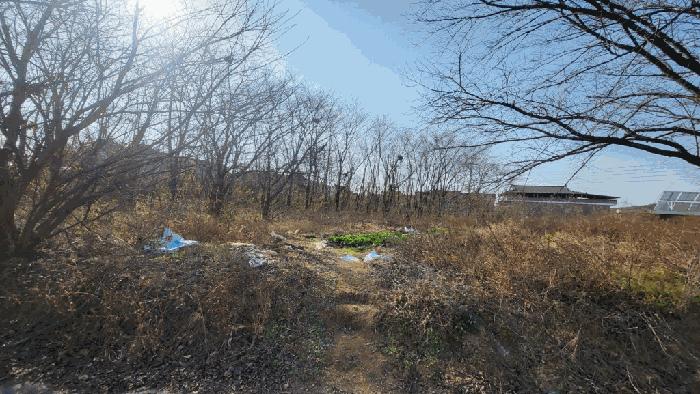 경상남도 함안군 가야읍 도항리 237-8 전 경매 사진 7