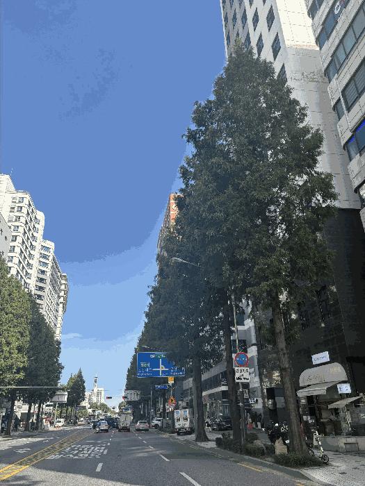 서울특별시 강서구 화곡동 1116-5 지엠밸리 제15층 제1506호 오피스텔 경매 사진 2