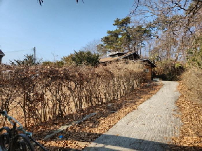 인천광역시 강화군 강화읍 관청리 76-1 주택 경매 사진 12