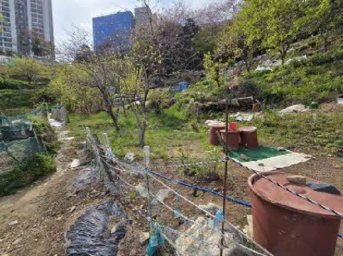 부산광역시 영도구 청학동 48-127 임야 경매 사진 11