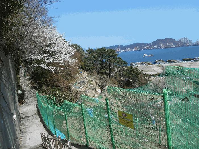 부산광역시 영도구 청학동 48-127 임야 경매 사진 4