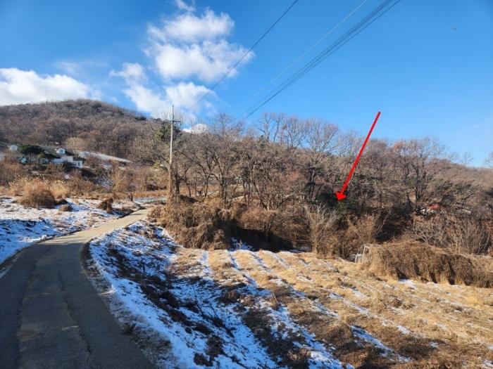 인천광역시 강화군 화도면 내리 1679 임야 경매 사진 2