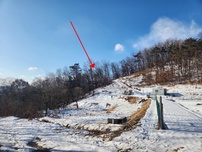 인천광역시 강화군 화도면 내리 1679 임야 경매 사진 3