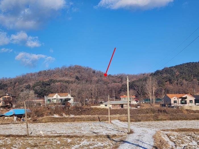 인천광역시 강화군 화도면 내리 1679 임야 경매 사진 4