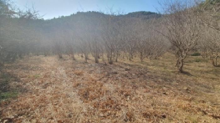 경상남도 창원시 마산합포구 진동면 다구리 168 답 경매 사진 14