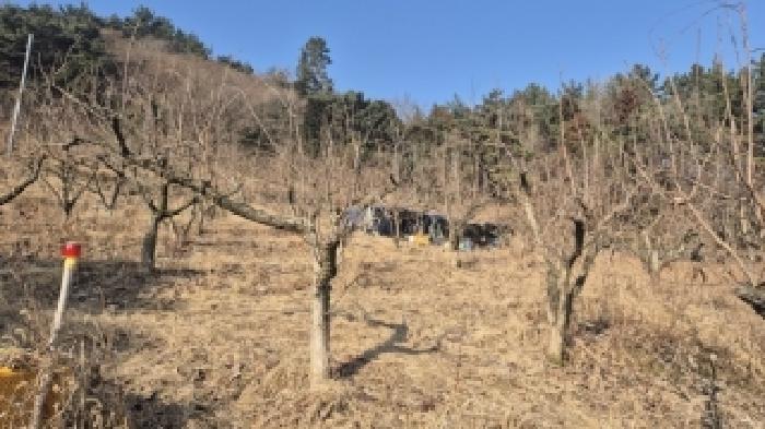 전라남도 나주시 봉황면 운곡리 산85 임야 경매 사진 11