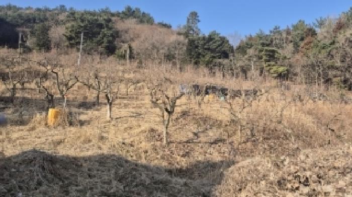 전라남도 나주시 봉황면 운곡리 산85 임야 경매 사진 12