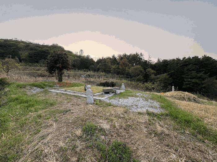 전라남도 나주시 봉황면 운곡리 산85 임야 경매 사진 3