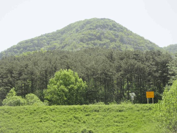 전라남도 장성군 장성읍 성산리 산13 임야 경매 사진 1