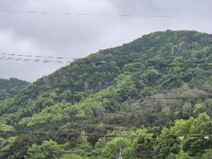 전라남도 장성군 장성읍 성산리 산13 임야 경매 사진 4