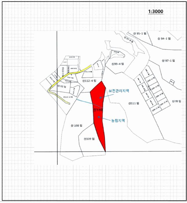 전라남도 화순군 도암면 천태리 산110 임야 경매 사진 13