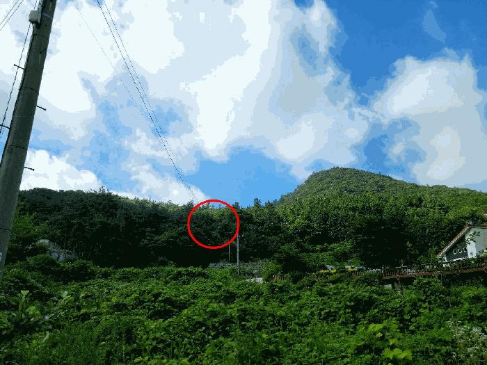 전라남도 화순군 도암면 천태리 산110 임야 경매 사진 5