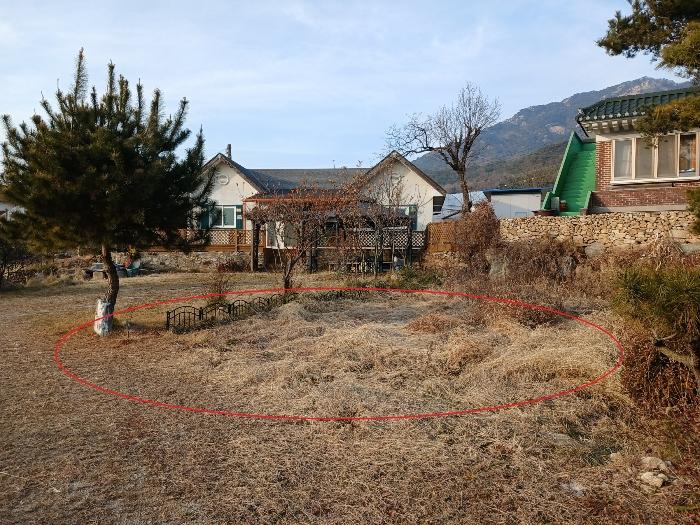 인천광역시 강화군 하점면 창후리 409-2 전 경매 사진 8