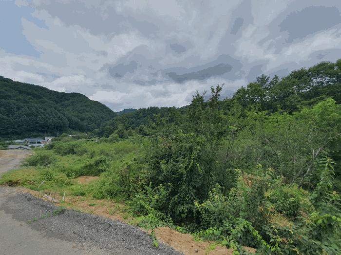 강원특별자치도 홍천군 서석면 풍암리 152-2 전 경매 사진 4