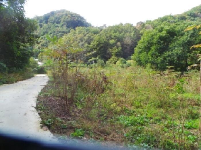 강원특별자치도 화천군 화천읍 아리 114 전 경매 사진 11