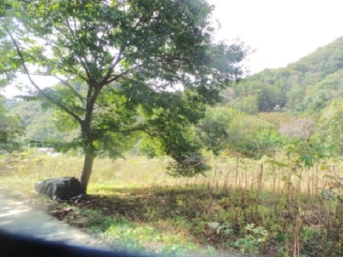 강원특별자치도 화천군 화천읍 아리 114 전 경매 사진 8