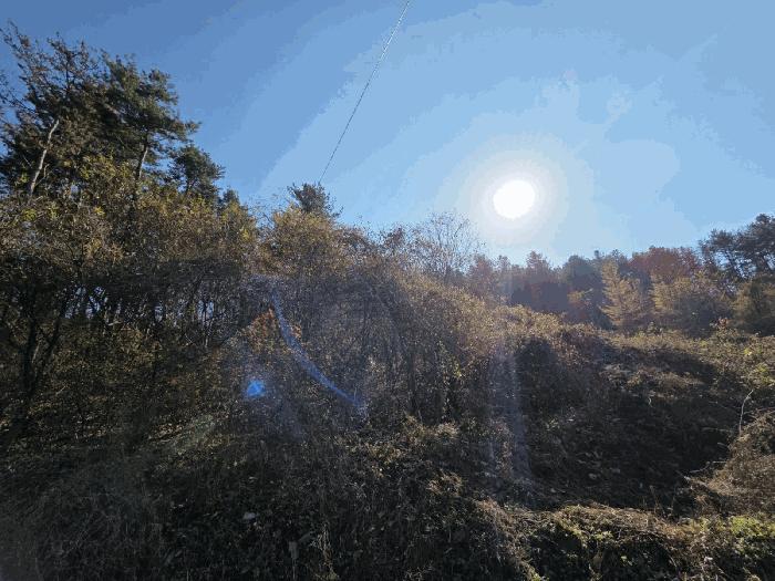 강원특별자치도 홍천군 서면 반곡리 산97 임야 경매 사진 10