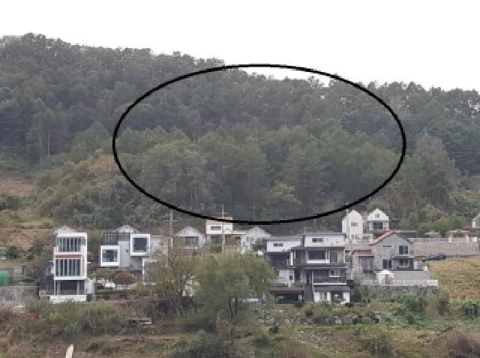 강원특별자치도 홍천군 북방면 노일리 819-7 임야 경매 사진 4