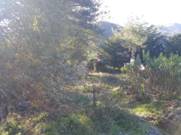 강원특별자치도 인제군 인제읍 가아리 578-3 전 경매 사진 15